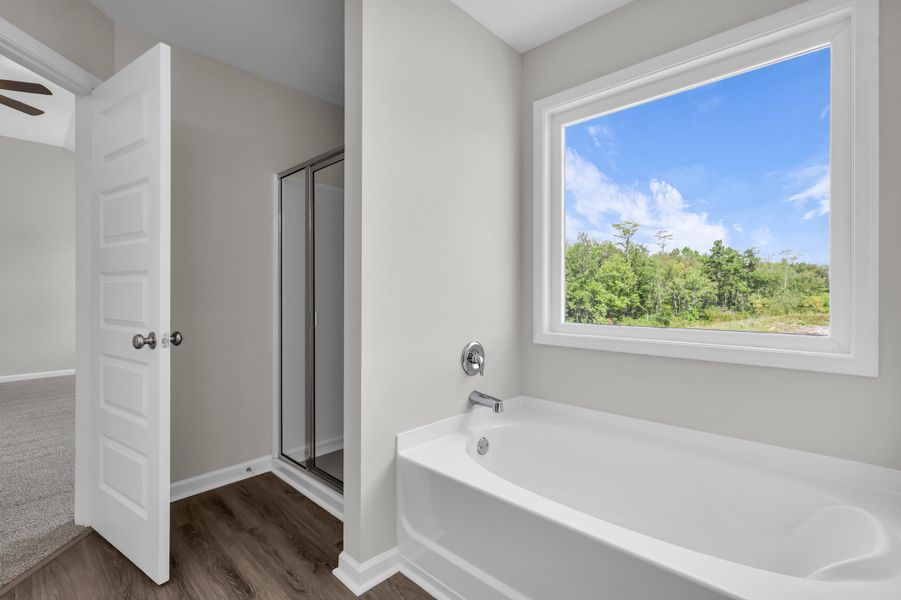 Representative furnished interior of a home built from the The Palmyra by RTS Homes in Doctor's Creek, Ludowici (Image 14).