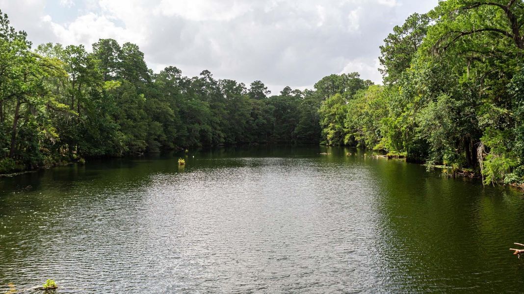 Natural landscape and outdoor views near The Highlands in Porter (Image 17).