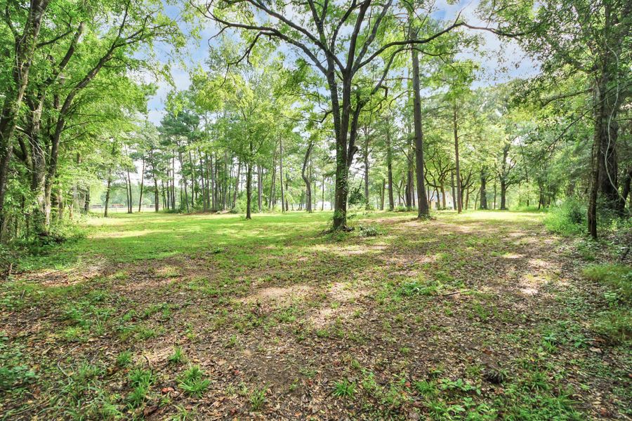 Natural landscape and outdoor views near  in Plantersville (Image 20).
