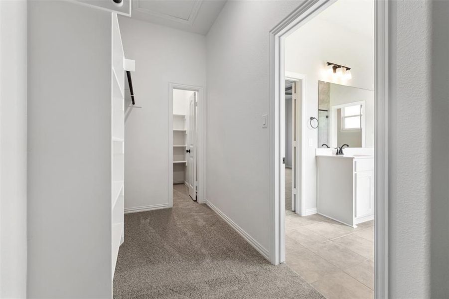 Spacious, unfurnished interior of a new home in Fairview Meadows, New Fairview (Image 30). Spacious, unfurnished interior of a new home in Fairview Meadows, New Fairview (Image 30).