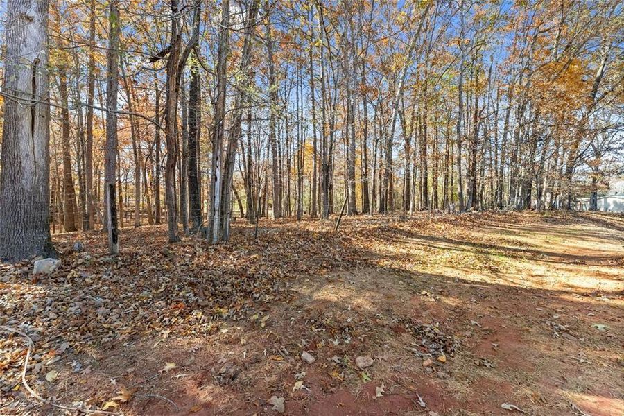 Natural landscape and outdoor views near  in Cleveland (Image 37).