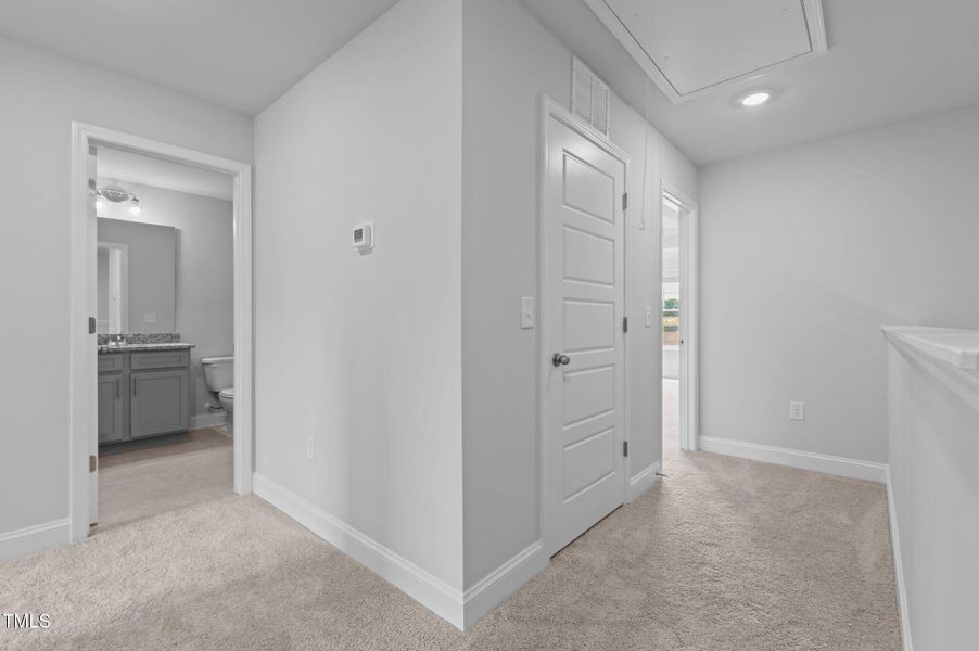 20-web-or-mls-DSC_8653