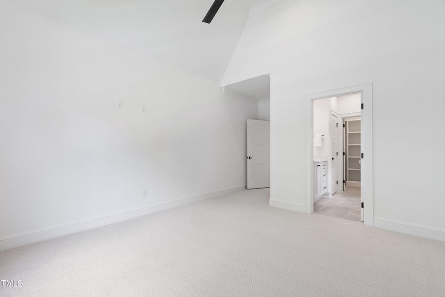 Tanbark (64) Tanbark (64)