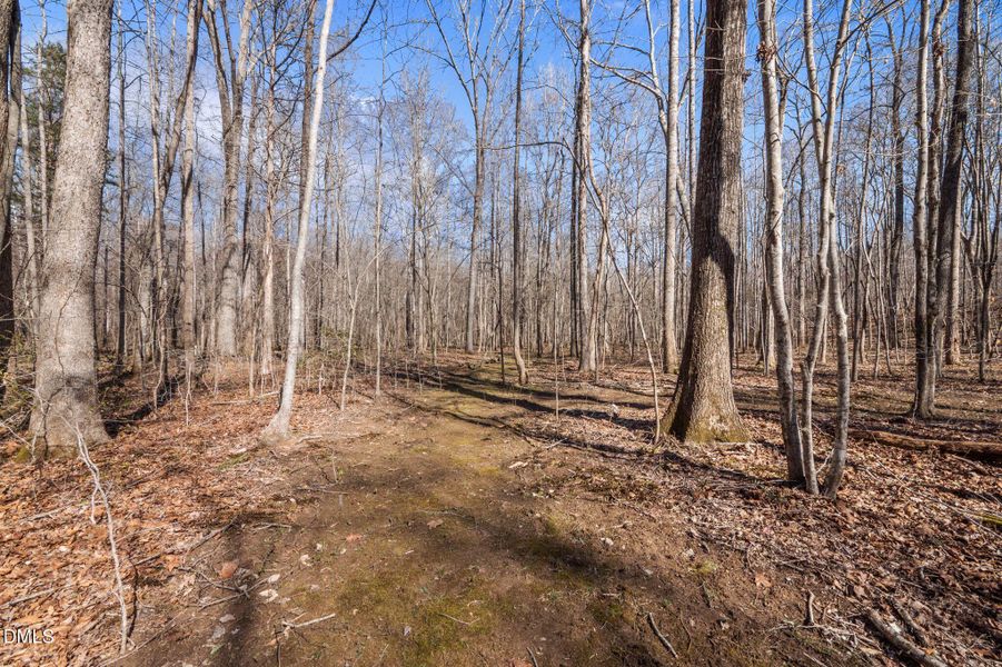 52-web-or-mls-P1112039