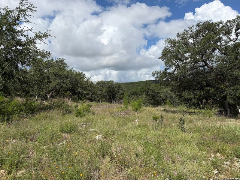 Natural landscape and outdoor views near  in New Braunfels (Image 13).