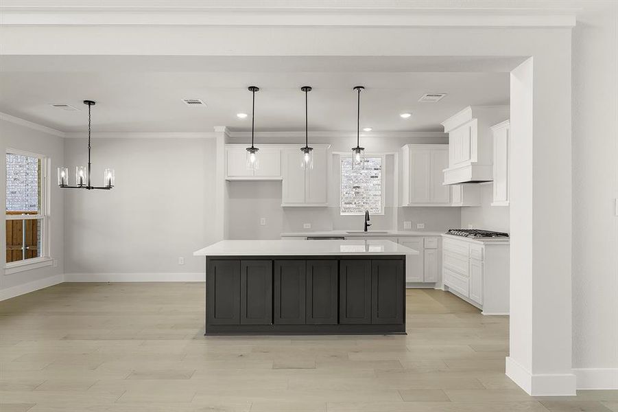 09. 2716 Warm Springs - Kitchen