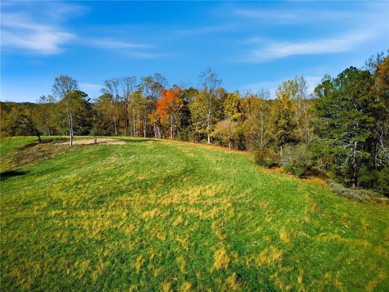 Natural landscape and outdoor views near  in Alpharetta (Image 3).