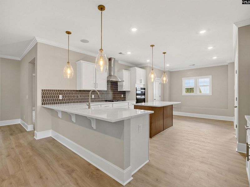 Furnished interior view inside a new home in Collins Cove, Chapin (Image 6).