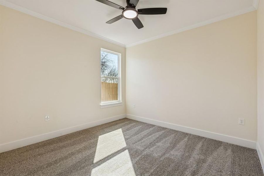 Carpeted empty room with ornamental molding and ceiling fan