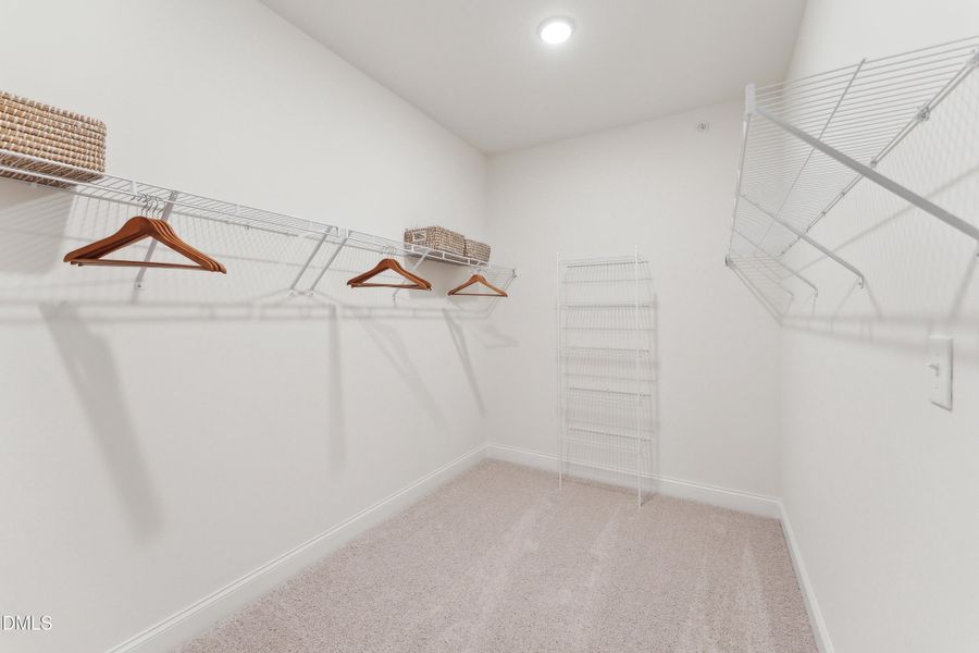 Julianne Primary Closet