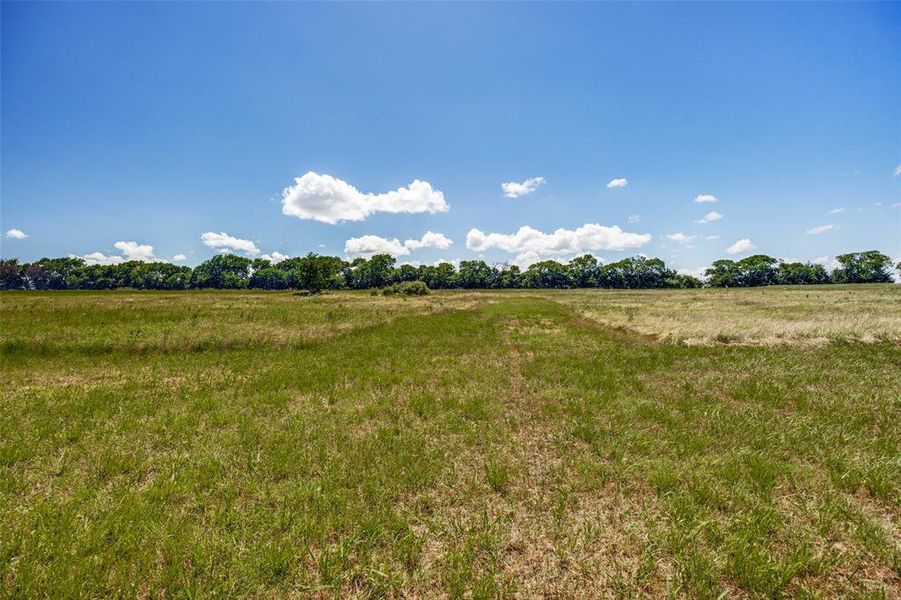 Natural landscape and outdoor views near  in Savoy (Image 27).