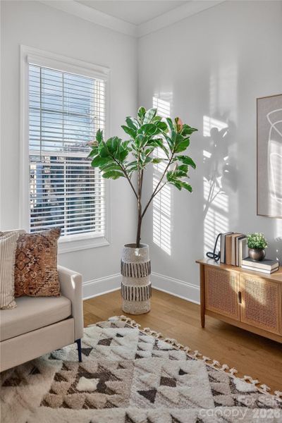 Furnished interior view inside a new home in , Charlotte (Image 15).