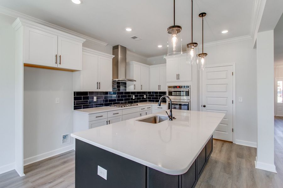 Furnished interior view inside a new home in Pebble Branch, Chapin (Image 8).