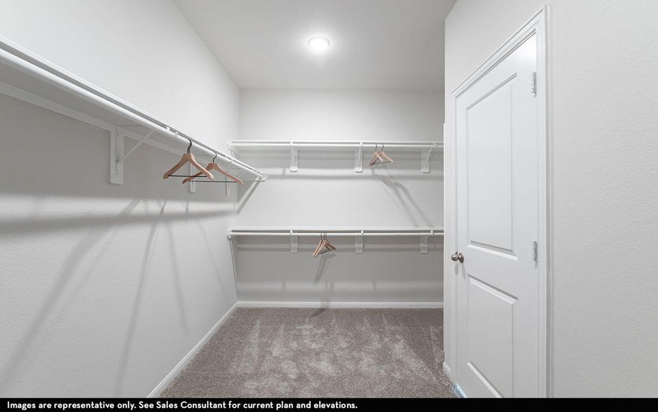 Walk in closet with light colored carpet