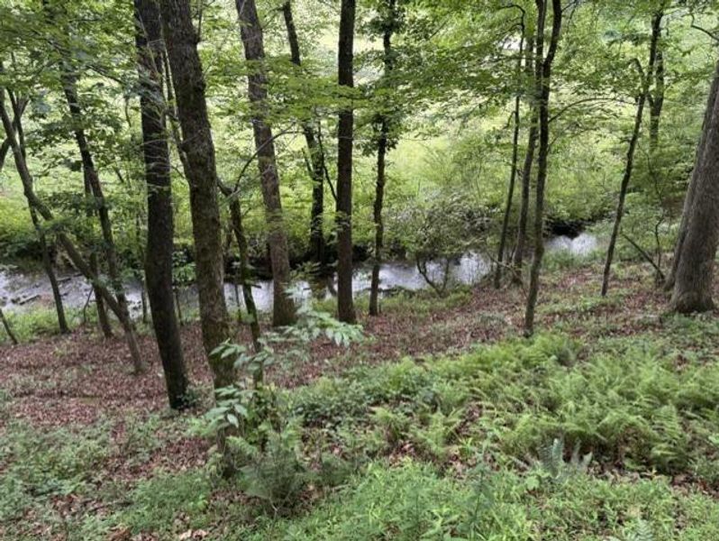 Natural landscape and outdoor views near in Ellijay (Image 47). Natural landscape and outdoor views near in Ellijay (Image 47).