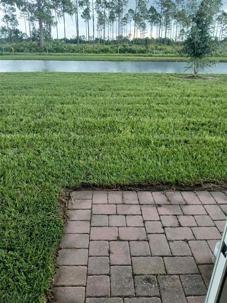 Natural landscape and outdoor views near Lake Deer Estates - Signature Series in Poinciana (Image 16).
