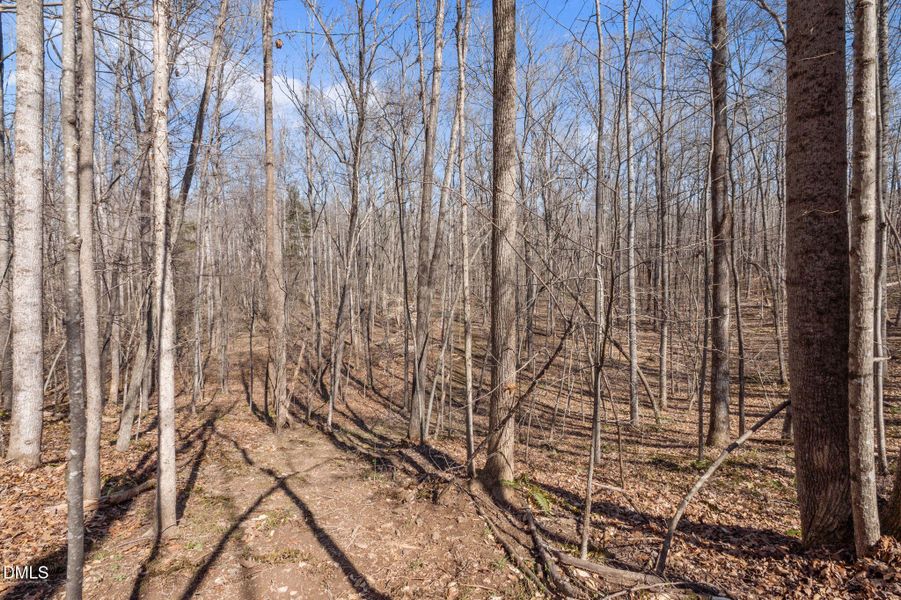 51-web-or-mls-P1112038