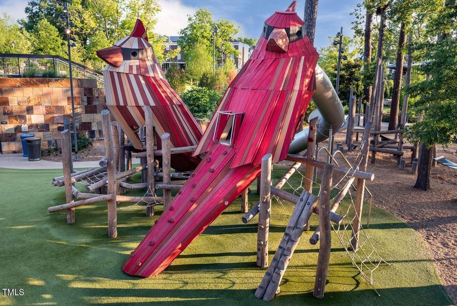 Downtown Cary Park Playground