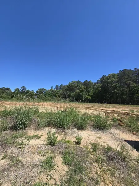 Natural landscape and outdoor views near Crossing at Givhans in Ridgeville (Image 9).