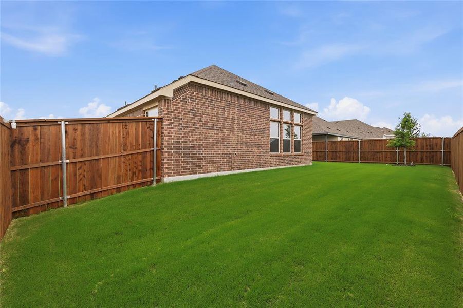 Expansive green lawn framed by a privacy fence Expansive green lawn framed by a privacy fence