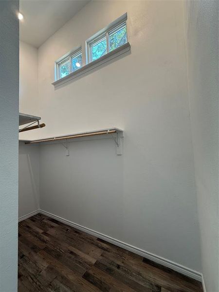 Walk in closet with dark wood finished floors