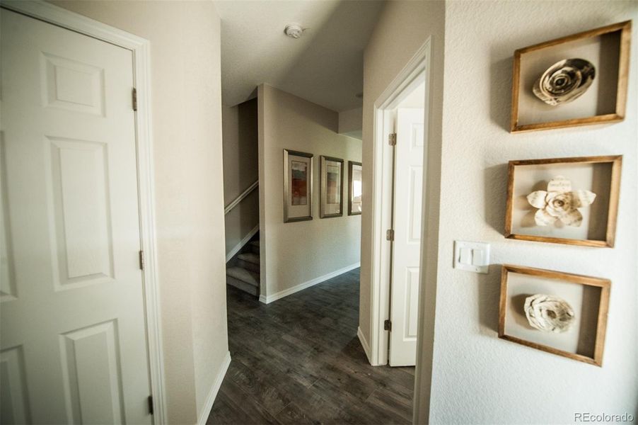 Example of interior finish options Example of interior finish options