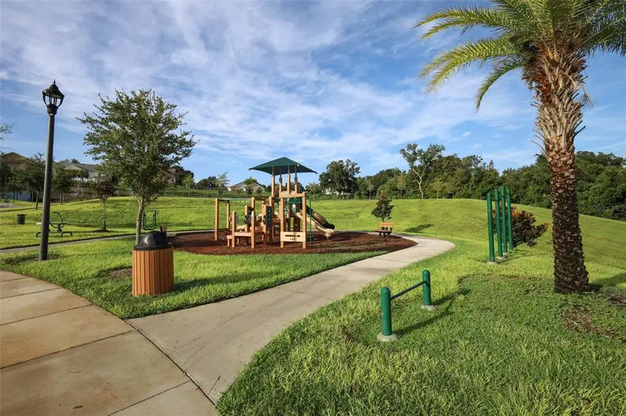 Community amenities in The Reserve at Lake Ridge II, Minneola (Image 34).