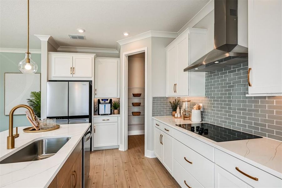 Model Kitchen Model Kitchen