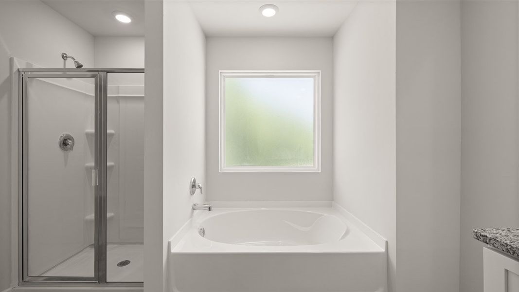 Representative furnished interior of a home built from the Ansley by D.R. Horton in The Islands, Beech Island (Image 14). Representative furnished interior of a home built from the Ansley by D.R. Horton in The Islands, Beech Island (Image 14).