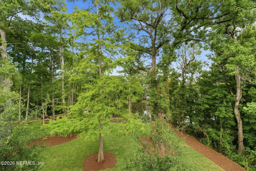 Natural landscape and outdoor views near in Jacksonville (Image 49). Natural landscape and outdoor views near in Jacksonville (Image 49).