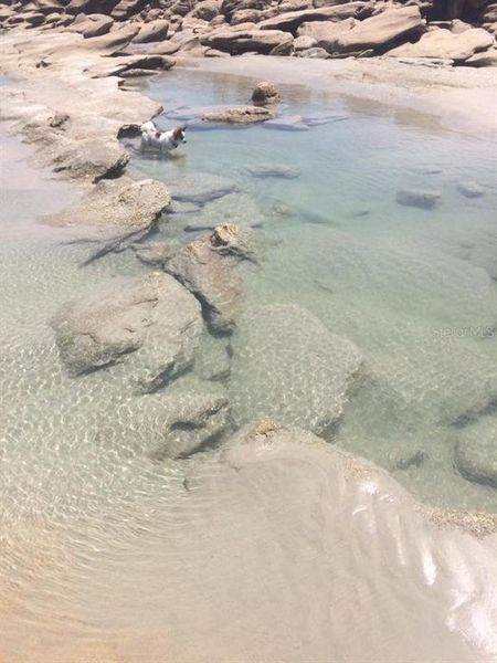 Natural landscape and outdoor views near  in Palm Coast (Image 31).