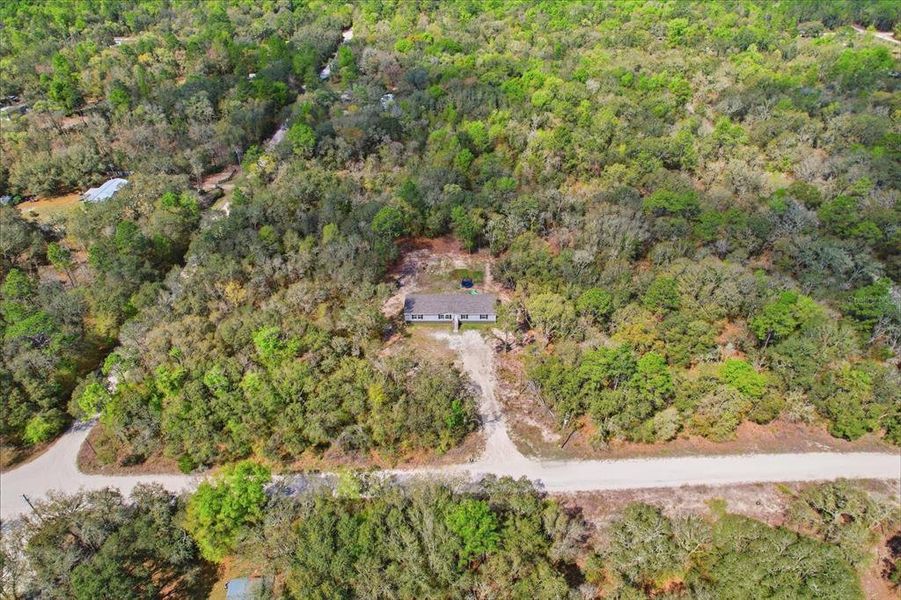 Natural landscape and outdoor views near  in Bronson (Image 33).