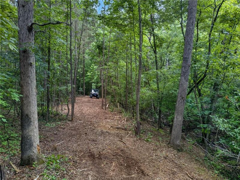 Natural landscape and outdoor views near  in Rockmart (Image 50).