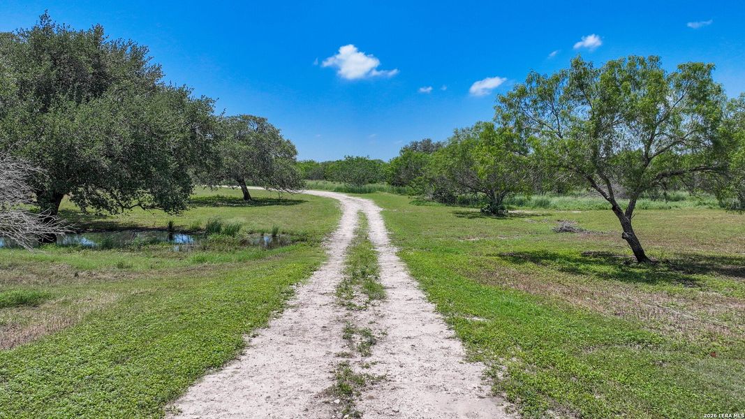 Natural landscape and outdoor views near in Kenedy (Image 21). Natural landscape and outdoor views near in Kenedy (Image 21).