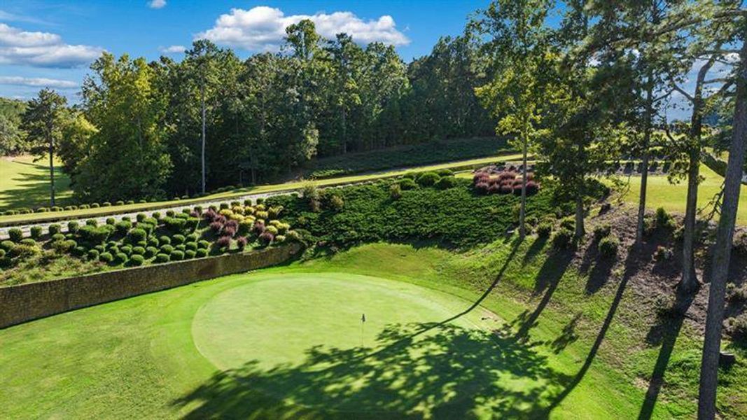 Natural landscape and outdoor views near Parkside at Carter Grove in Cartersville (Image 59).