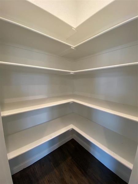Large corner pantry with ample storage.