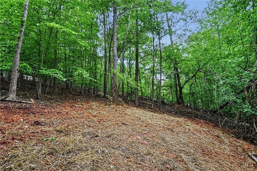 Natural landscape and outdoor views near  in Marietta (Image 23).