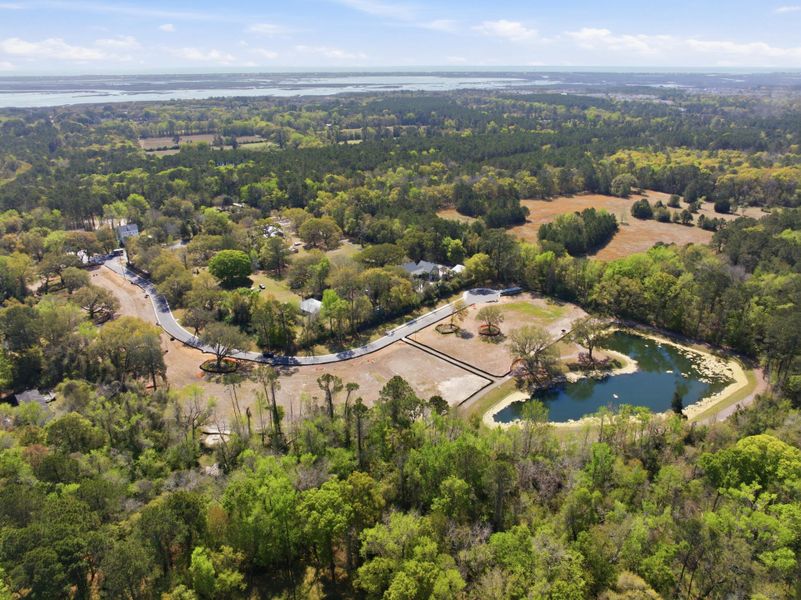 Site preparation for new homesites in Liberty Hill Farm, Mount Pleasant (Image 11).