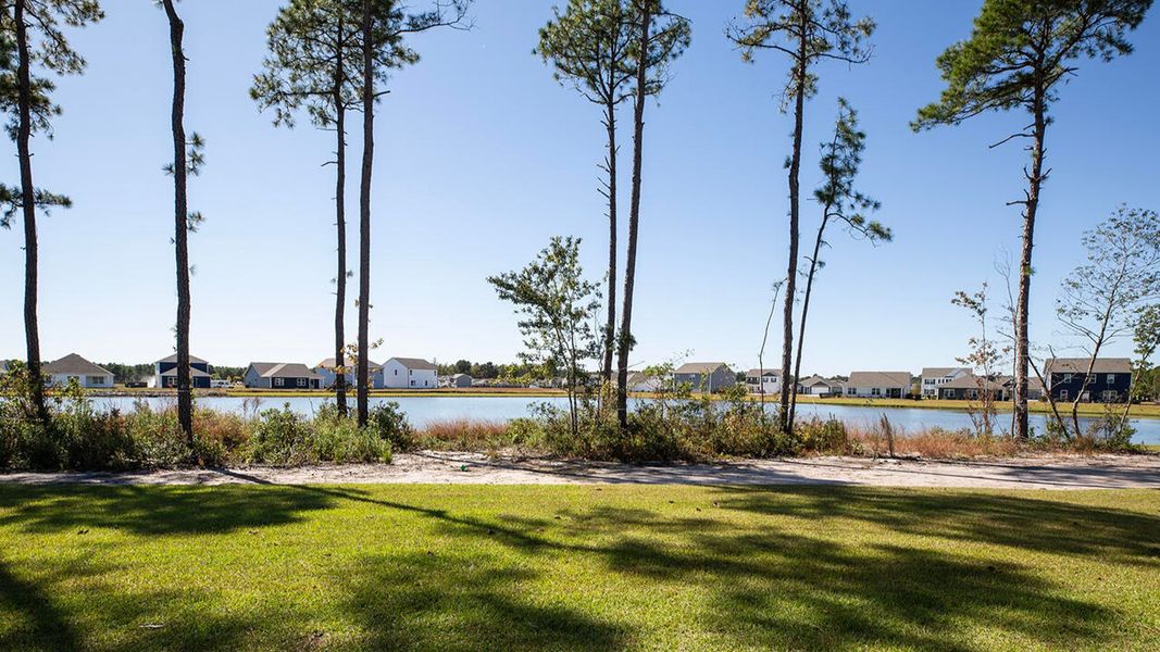 Natural landscape and outdoor views near Sidbury Station in Castle Hayne (Image 44).