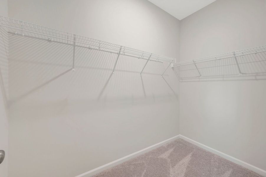 Owner's Closet
