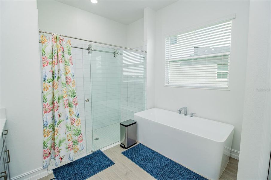 Furnished interior view inside a new home in Triple Creek: The Executives, Riverview (Image 14).