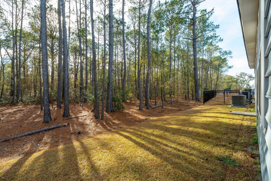 Image 62 of a home in Saint John's Lake: Arbor Collection.