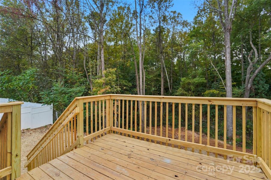 Large Back Deck