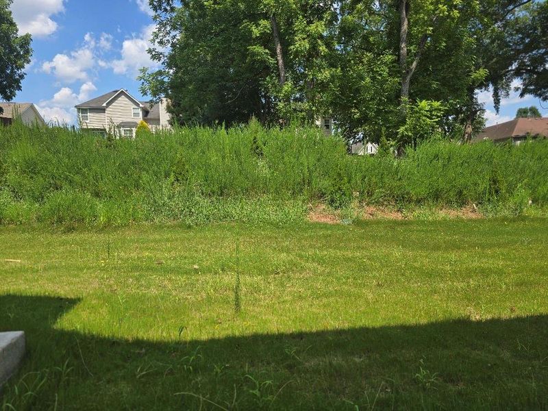 Natural landscape and outdoor views near  in South Fulton (Image 23).