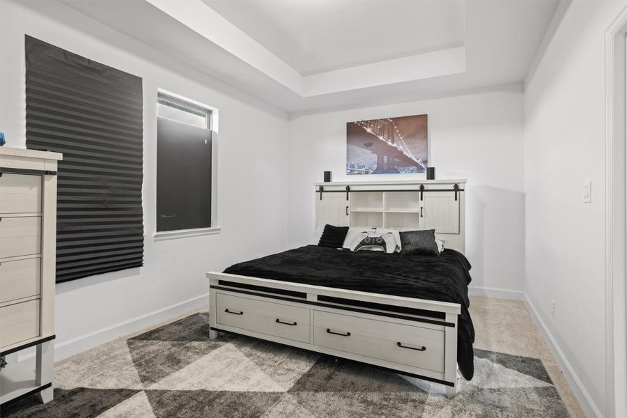 Spacious secondary bedroom with tray ceiling