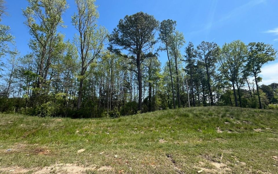 Natural landscape and outdoor views near Wendell Falls in Wendell (Image 15).
