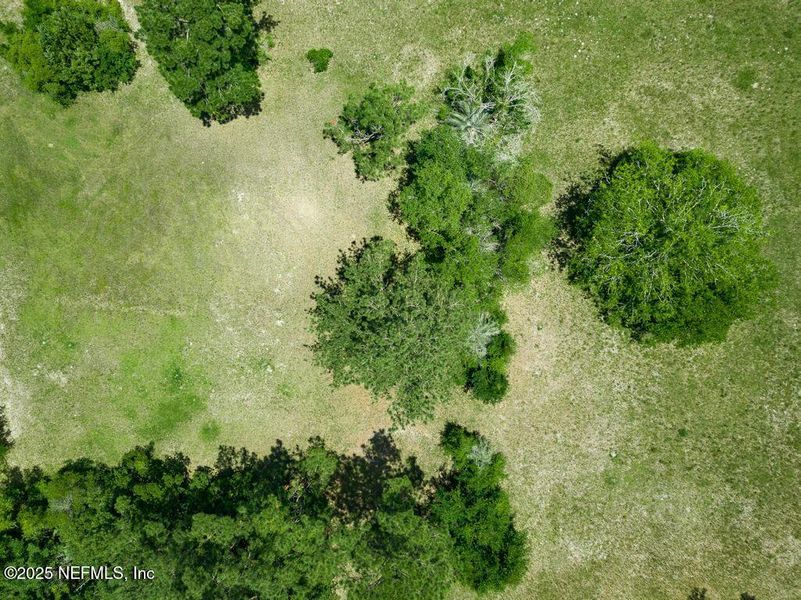 Natural landscape and outdoor views near  in Jacksonville (Image 53).