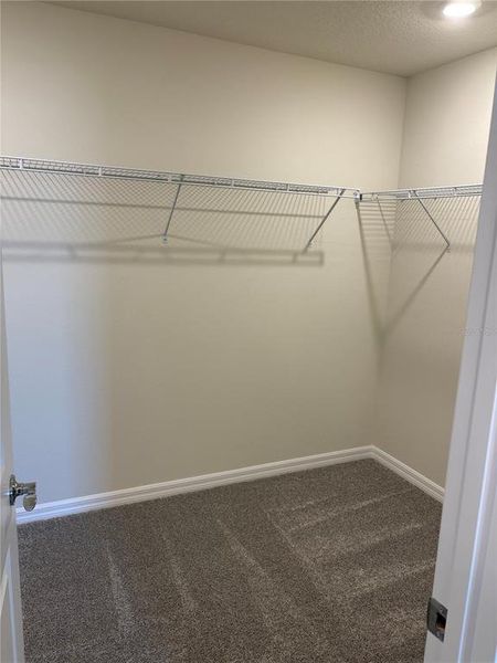 Primary Walk-In Closet