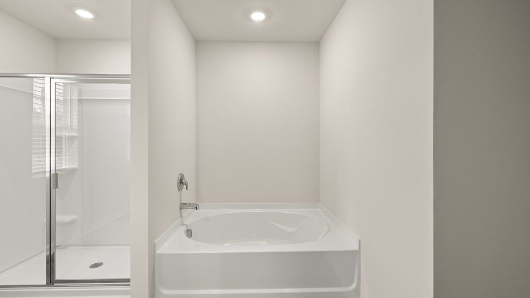 Representative interior finishes for a home built from the Galen by D.R. Horton in Jackson Landing, Jefferson (Image 12).