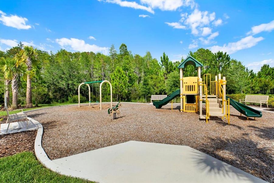 Community amenities in Woodcreek, Wesley Chapel (Image 49).